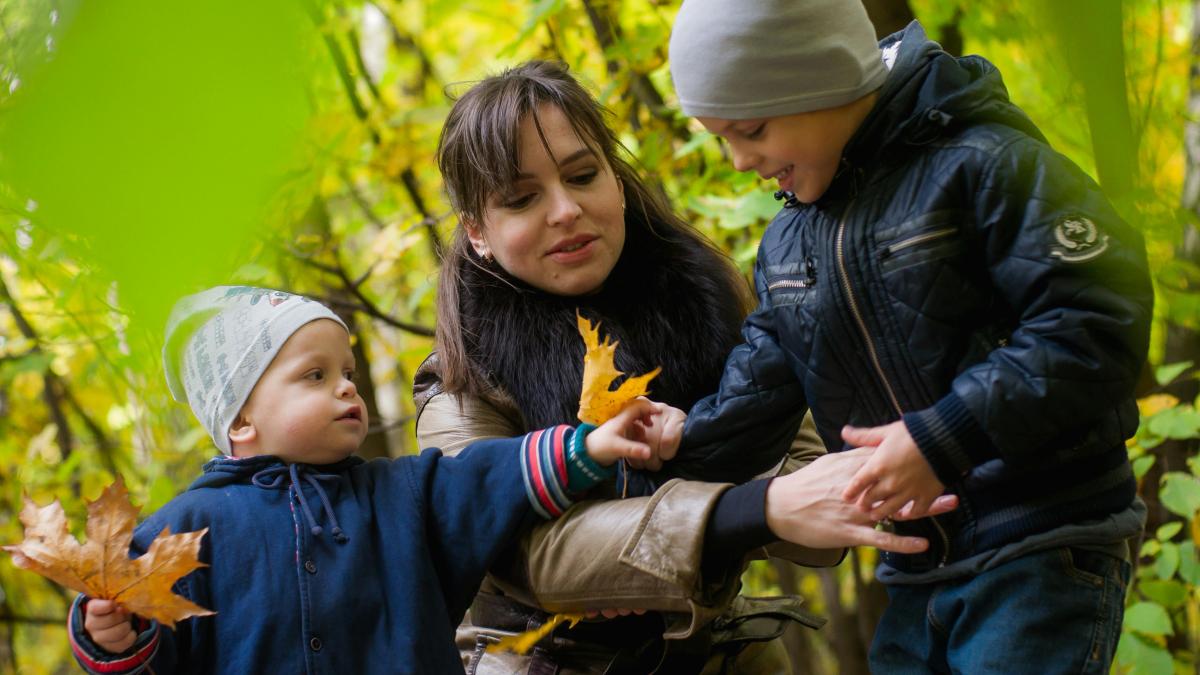 pexels-berendey-1497530_77073100