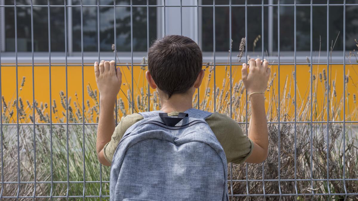 toata-echipa-de-conducere-a-ministerului-educatiei-ar-trebui-sa-plece-acasa-fost-secretar-de-stat--acuzatii-dure-au-fost-disponibili-cei-mai-multi-bani-europeni-pentru-educatie_46520100