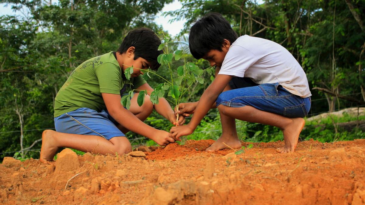 pexels-leiliane-dutra-1841922-11130997_16228100