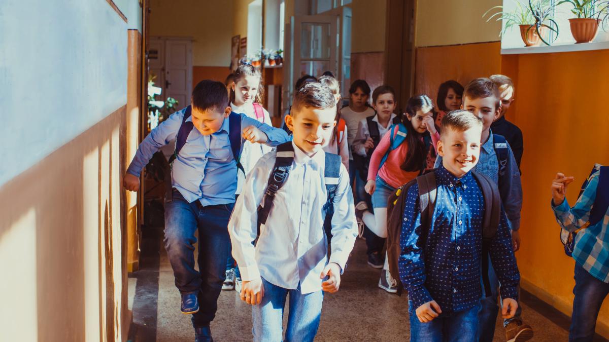 patraru-cele-opt-competente-la-care-scoala-noastra-esueaza-total-irina-petrea-de-cand-parintii-impun-reguli-in-scoli-si-ii-invata-pe-profesori-cum-sa-si-faca-treaba--e-haos-2_18570700