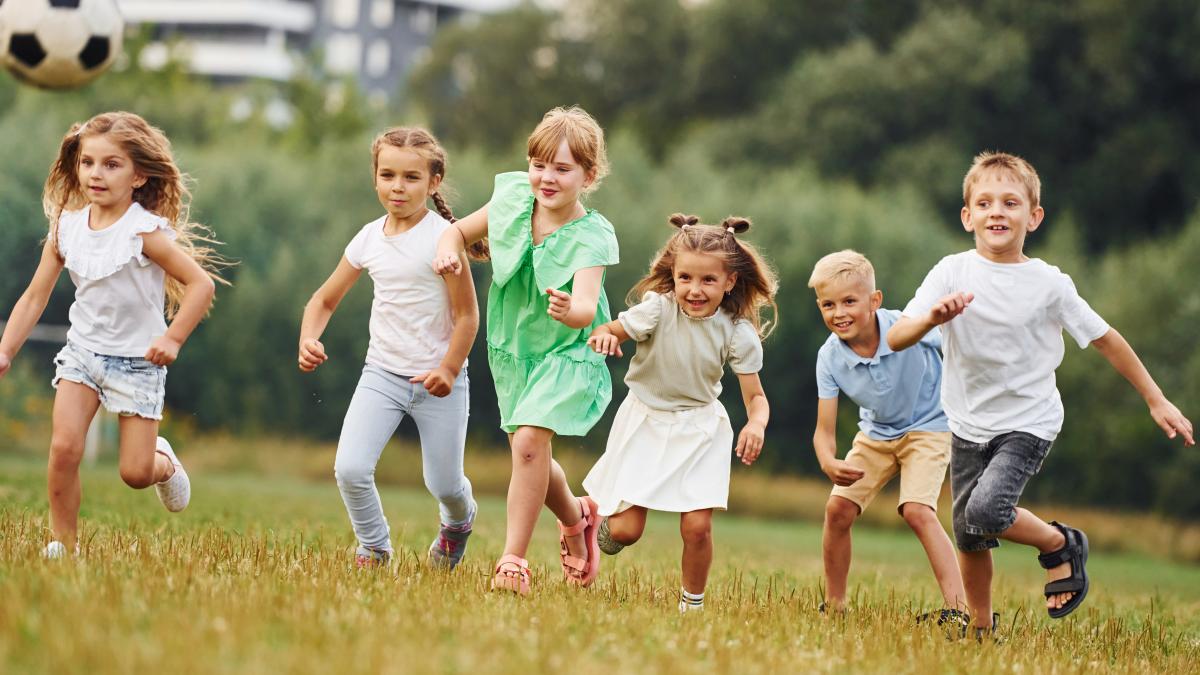 kids-are-having-fun-field-daytime-together_30502500