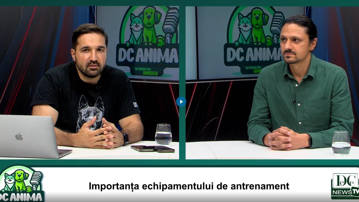 groomingul-profesionist-in-romania--bogdan-buf--invitat-la-dc-anima_83553500