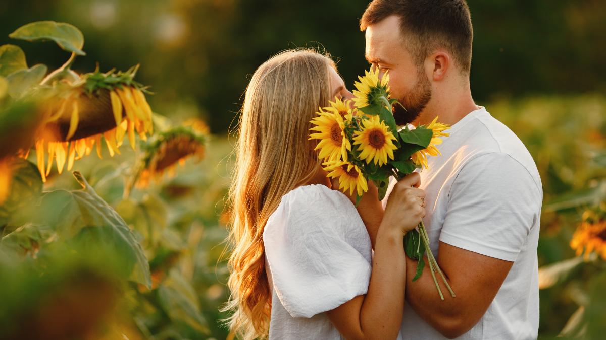 young-loving-couple-is-kissing-sunflower-field-portrait-couple-posing-summer-field_07992000