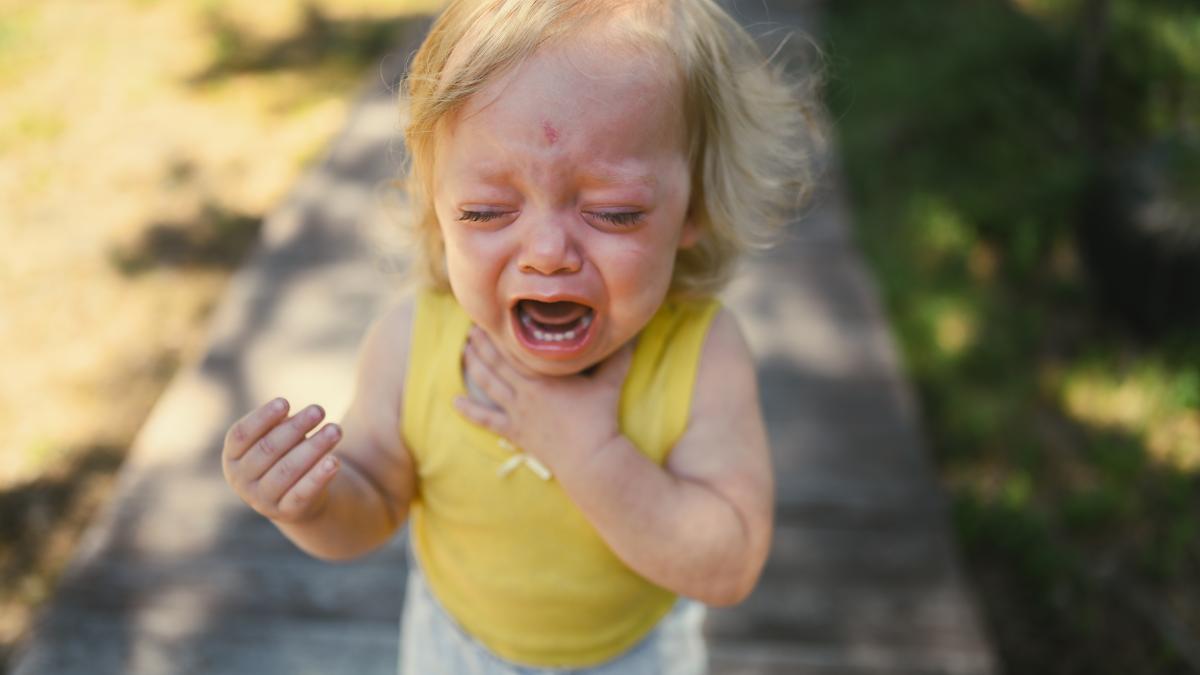 why-does-a-child-resort-to-tantrums-the-truth-behind-emotional-outbursts--violeta-mihalascu-the-little-one-is-smart-enough-to-see-what-works_56750200
