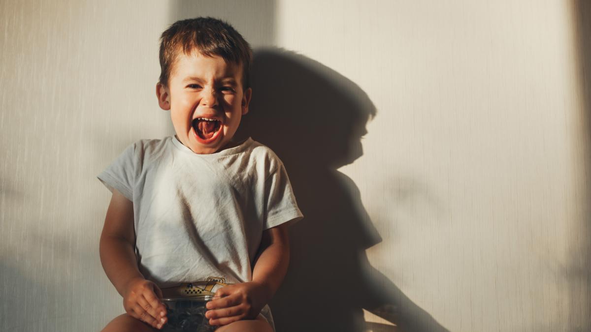 what-does-a-normal-tantrum-look-like--and-when-does-it-cause-concern-violeta-mihalascu-i-think-the-most-important-thing-to-say-is-this_94855200