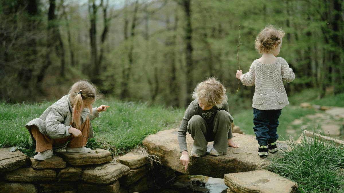 pexels-anastasia-shuraeva-7671083_52389100