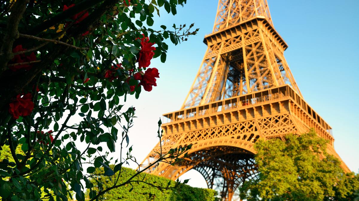 eiffel-tower-flower-garden-paris_11350500