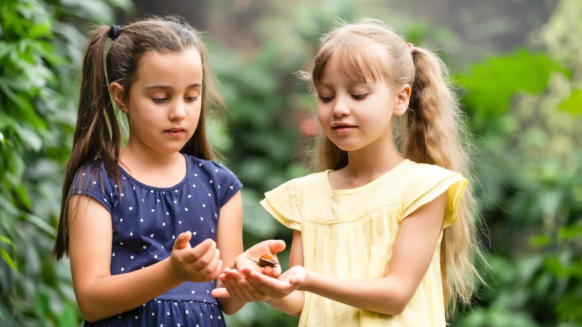 iata-de-ce-nu-ar-trebui-sa-ti-inveti-copilul-sa-imparta-tot-timpul--potrivit-unor-psihologi-americani-creeaza-o-generatie-de-oameni-care-cauta-sa-i-multumeasca-pe-altii_96770100