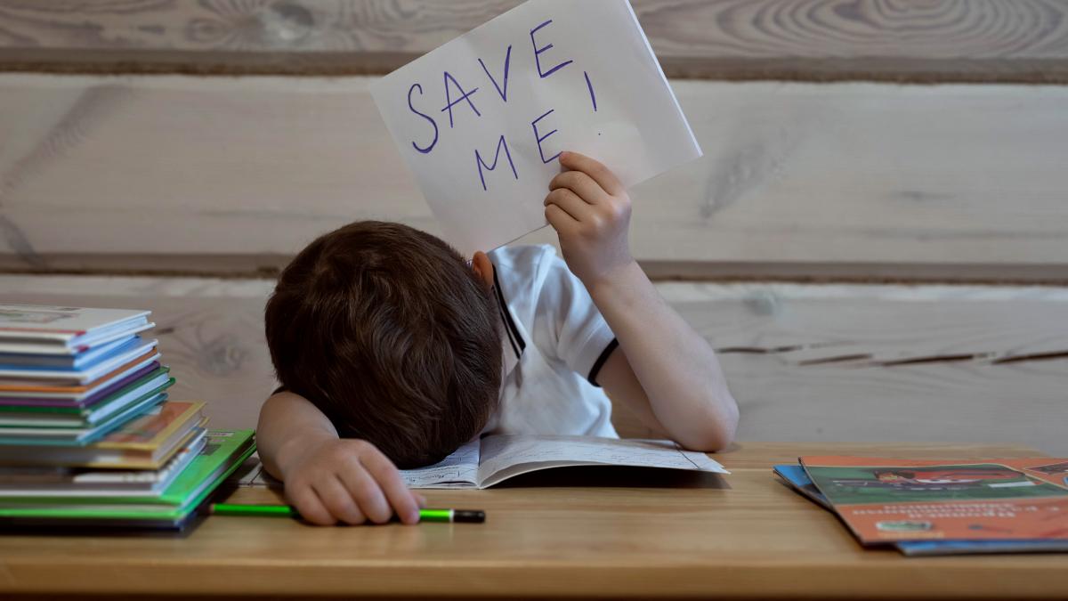 nu-isi-va-mai-face-temele-tot-anul-scolar-o-mama-revoltata--mesaj-pentru-profesorul-fiului-ei-ce-le-transmitem-elevilor-prin-aceste-presiuni_74842600