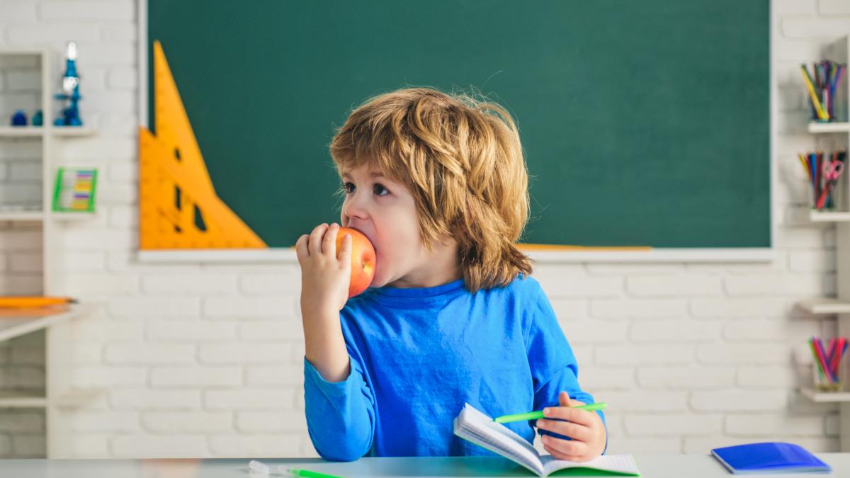 programul-de-alimente-gratuite-in-scoli-risca-sa-repete-esecurile-de-anul-trecut-profesorii-si-parintii-prevad-un-dezastru_94427300