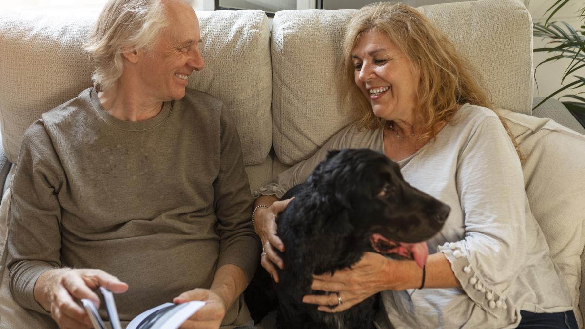 1-din-4-adulti-fara-copii-isi-fac-griji-cu-privire-la-cine-va-avea-grija-de-ei-pe-masura-ce-imbatranesc--acestia-aplica-e2809eplanul-strutule2809d_24628700