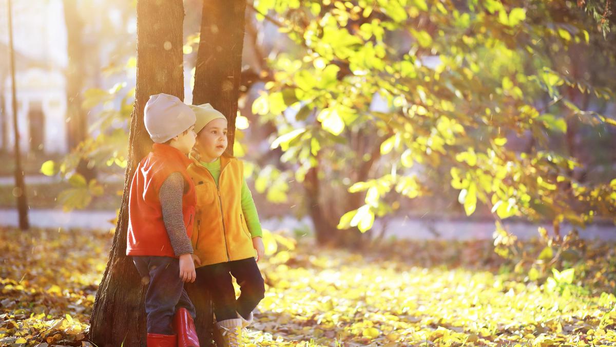 regula-de-30-de-secunde-incredibil-de-utila-apreciata-de-2-milioane-de-oameni-despre-care-copilul-tau-trebuie-sa-stie_79057700