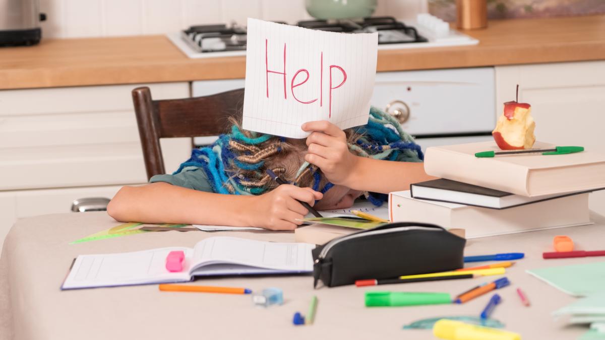 boreout-sau-burnout-consecintele-acestor-fenomene-asupra-copilului-ana-maria-zamfir-pot-duce-la-niste-trasaturi-de-personalitate-nesanatoase-pentru-viitorul-adult_25250100