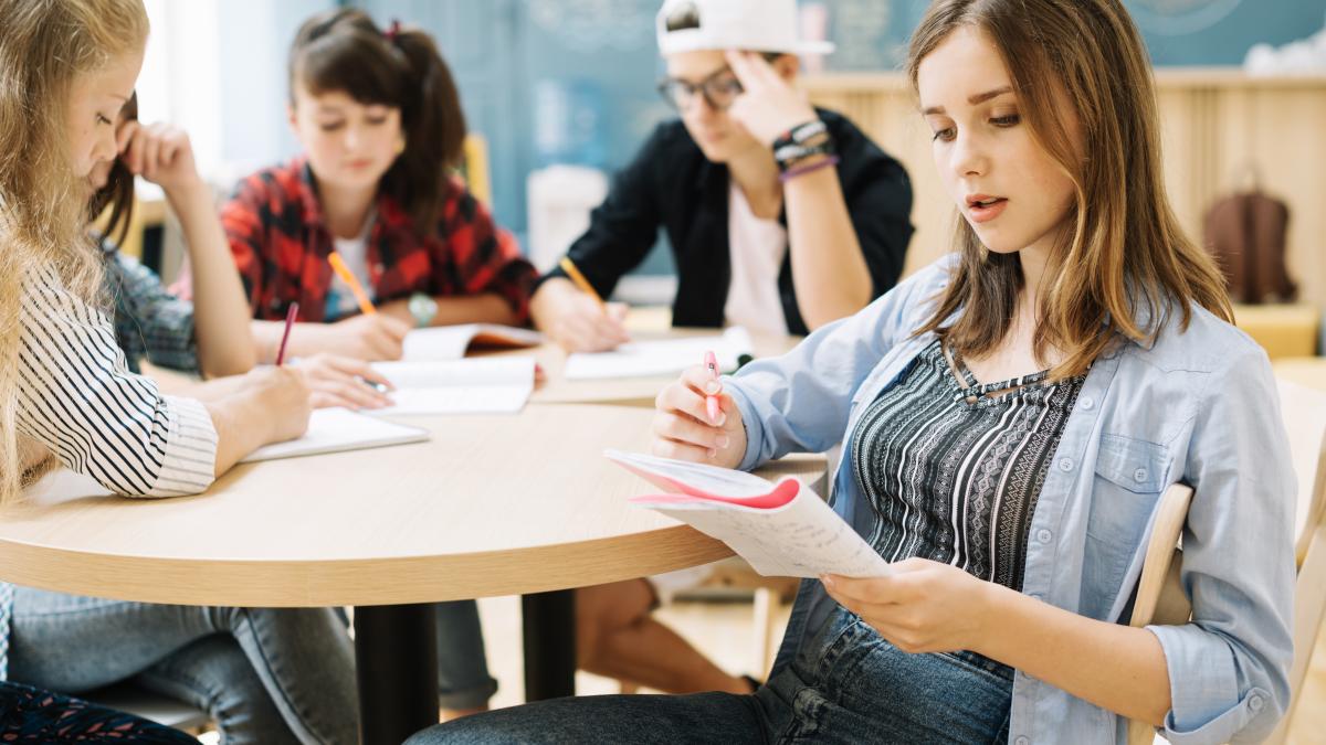 invatamantul-dual--o-noua-sansa-profesorul-florian-lixandru-e2809ele-ar-oferi-elevilor-posibilitati-pentru-o-anumita-meseriee2809d--video_77948800