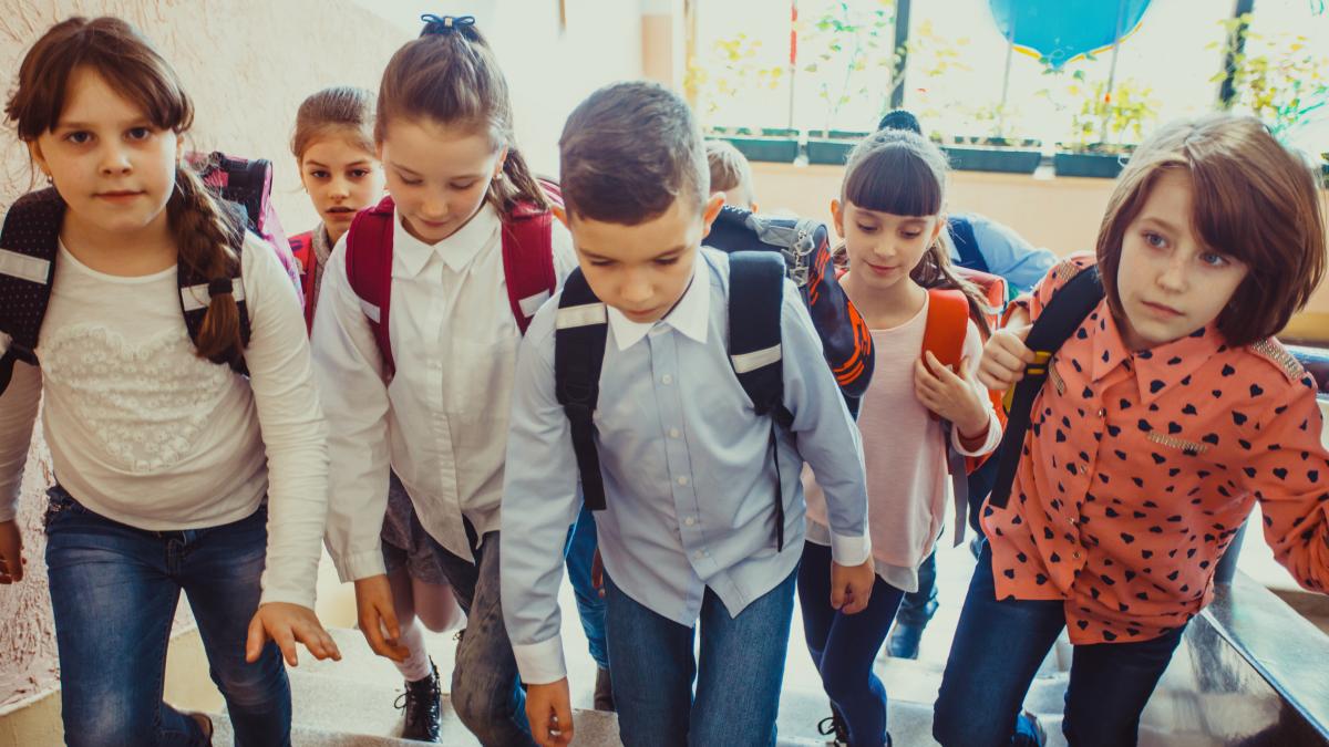 cum-contribuie-sistemul-educational-romanesc-la-burnout-ul-sau-boreout-ul-elevilor-ana-maria-zamfir-spune-ce-greseli-majore-se-fac-este-impotriva-firii_32639100