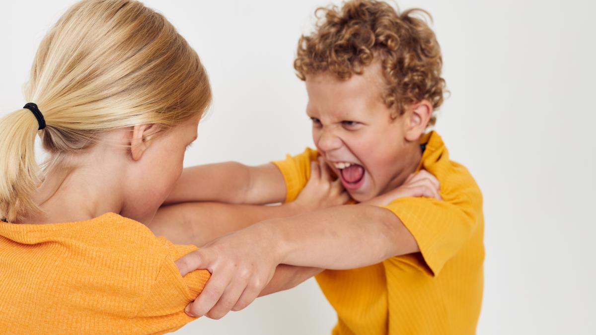 e2809ecopiii-mei-se-urasc-pare-ca-nu-se-inteleg-deloce2809d-cum-sa-ii-faci-sa-colaboreze-sfatul-unui-psiholog-de-la-universitatea-stanford_93656100