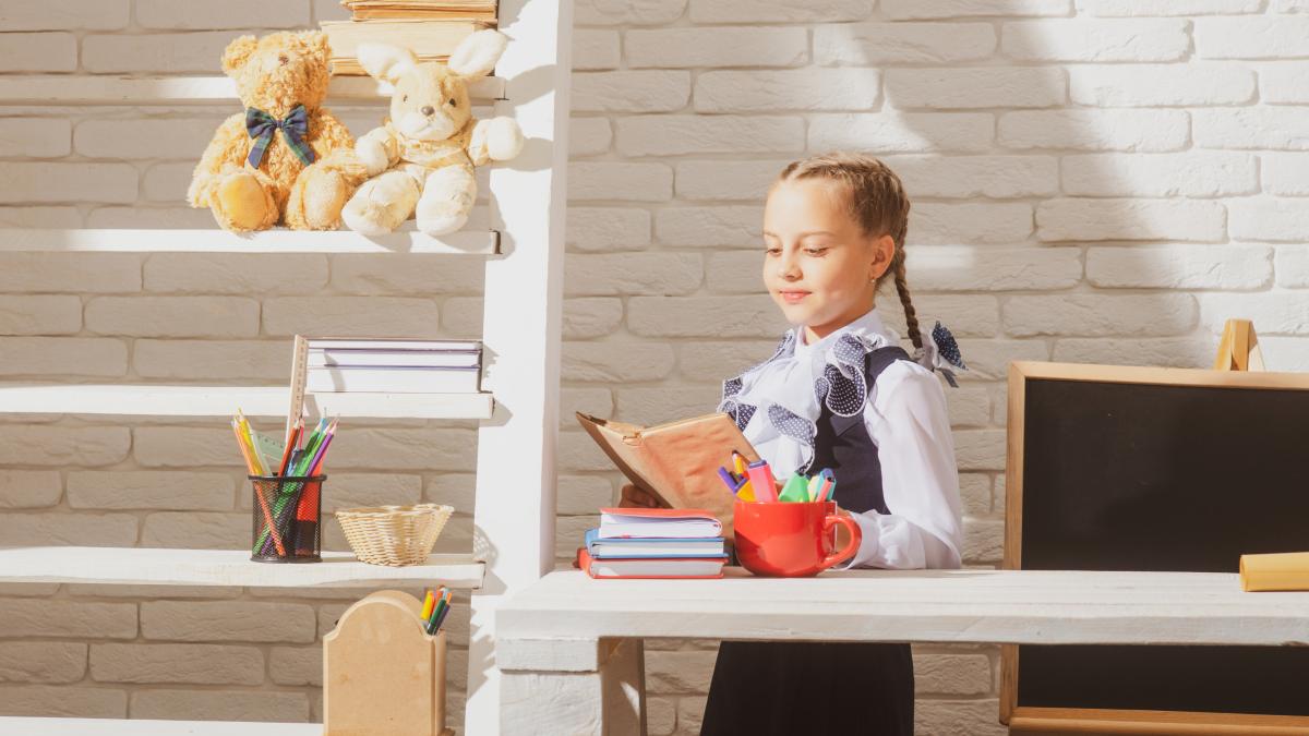 crestere-alarmanta-a-numarului-de-elevi-cu-mai-putin-de-10-carti-acasa-bibliotecile-de-acasa-ale-scolarilor-sunt-tot-mai-goale_99215600