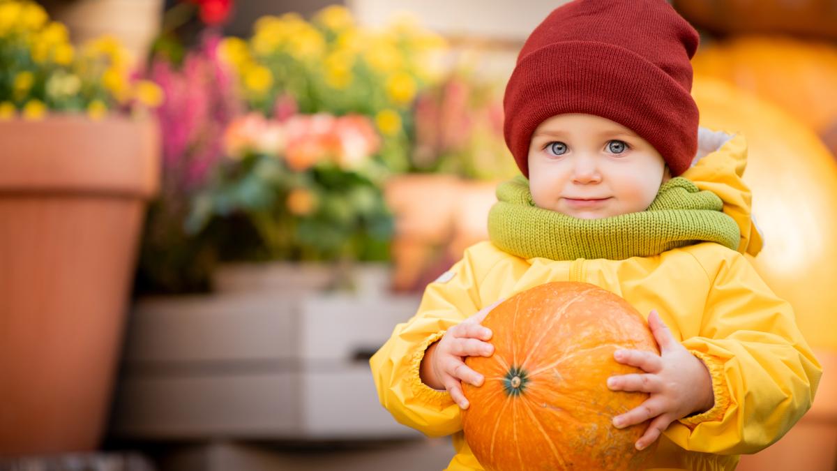 caracteristicile-si-personalitatile-copiilor-nascuti-in-luna-octombrie-perfectionisti-diplomati-indecisi-iar-cel-mai-mare-dusman-este-haosul_11444700