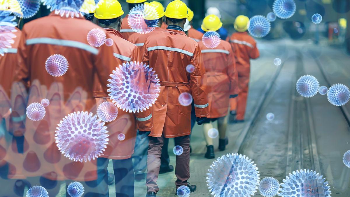 alerta-in-europa-un-nou-virus-letal-a-fost-depistat-in-germania_76684400