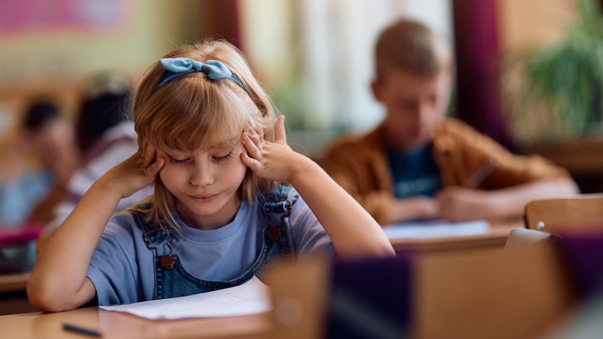 supraincarcarea-elevilor-din-gimnaziu-nu-e-din-cauza-programei-scolare--sustine-ligia-deca-profesorii-si-manualele-fac-ca-predarea-sa-fie-incarcata_76750700