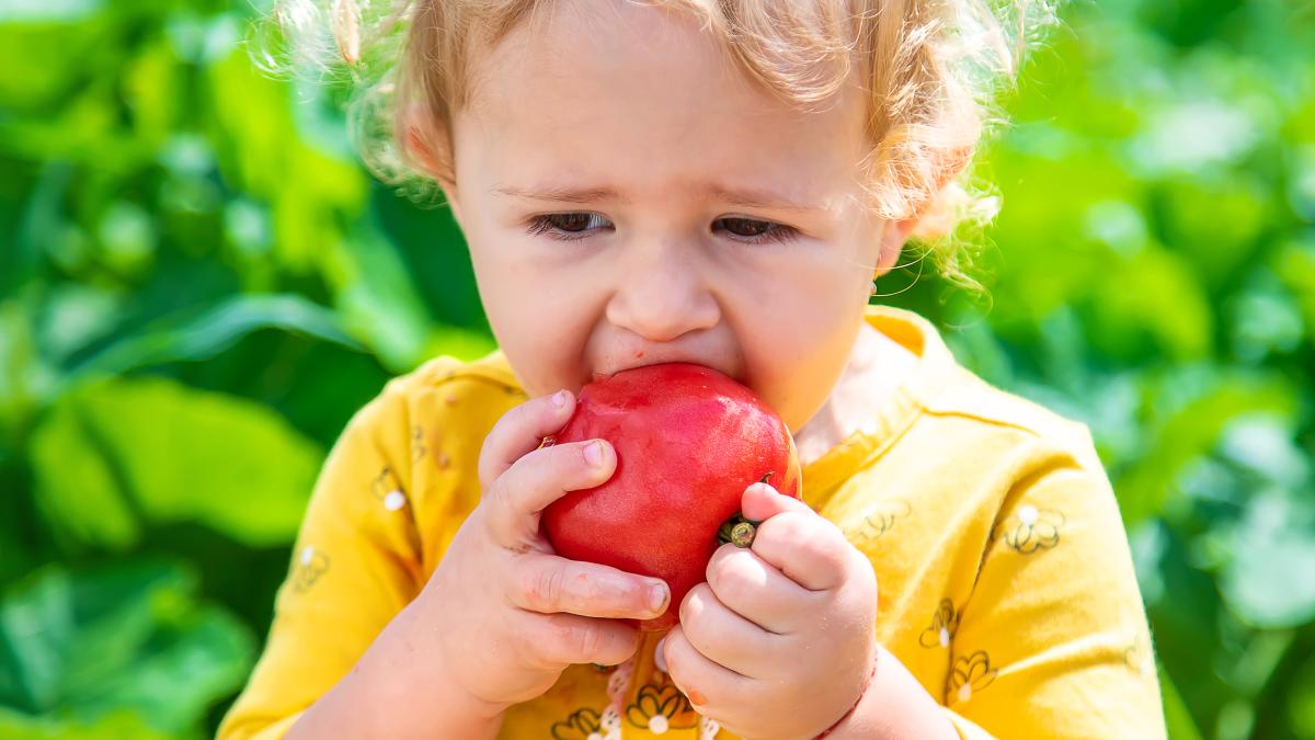 cate-pesticide-contine-marul-tau_17876500