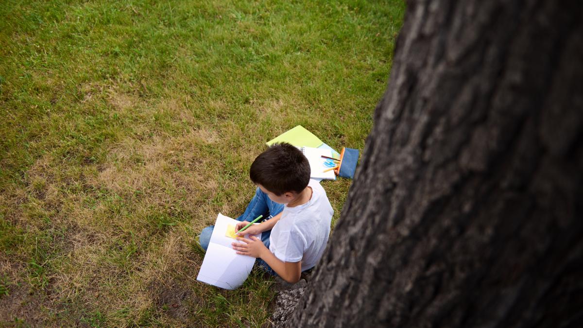 testul-arborelui-descopera-aspecte-ascunse-ale-personalitatii-copiilor-prin-acest-instrument-utilizat-pe-scara-larga-in-psihologie_43345600