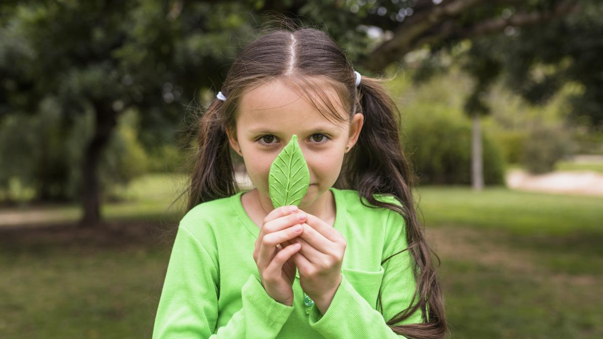 probleme-de-memorie-la-copii-un-studiu-arata-ca-principala-cauza-ar-fi-aerul-1_23162100