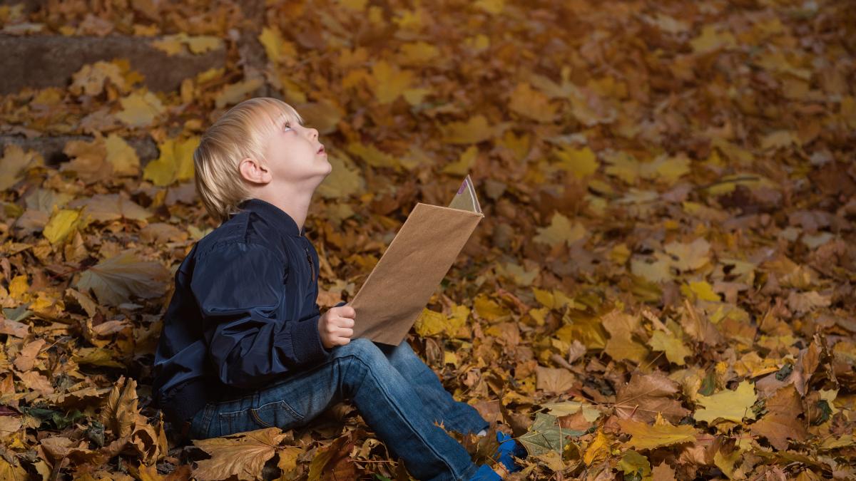 little-boy-is-sitting-wild-forest-autumn-leaves-with-book-hands-children-s-books-about-miracles-magic_54500000