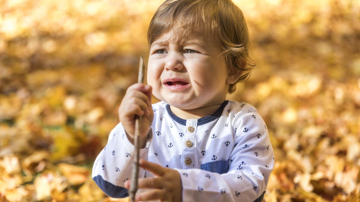 lasa-l-sa-planga-sfatul-care-devasteaza-creierul-copilului-nivelurile-crescute-de-cortizol-si-adrenalina-pot-afecta-conexiunile-neuronale_92611300