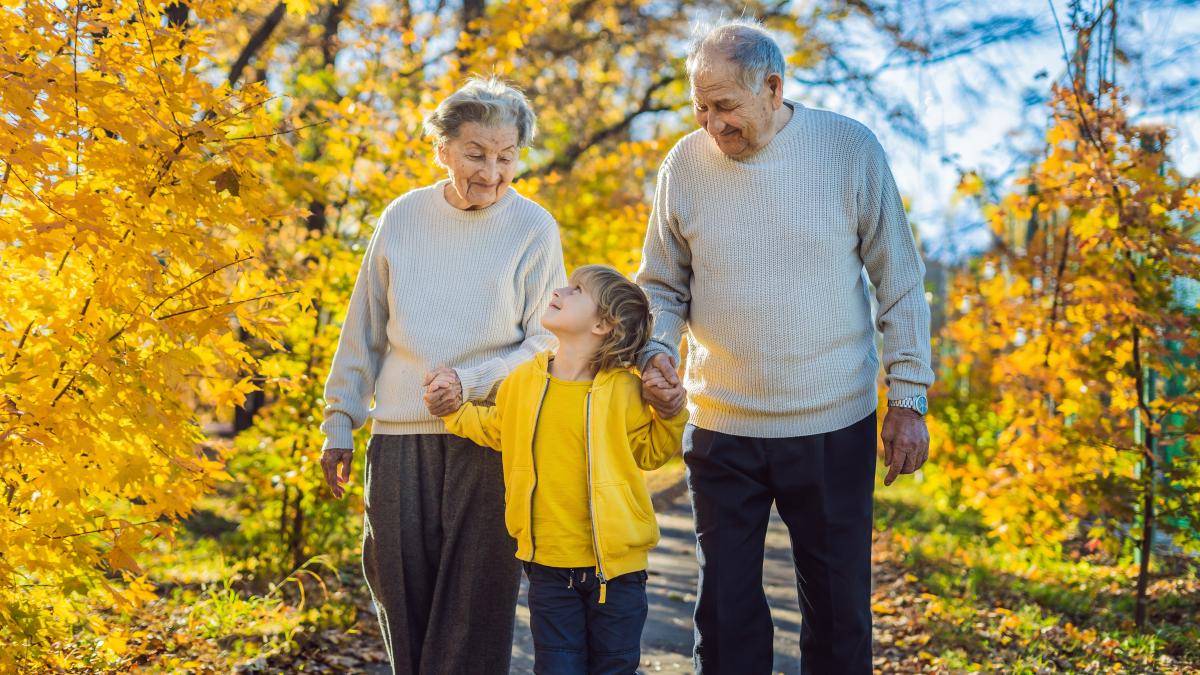 cum-sa-devii-un-bunic-de-nota-10-experti-nu-exista-un-manual-dar-prin-aceste-strategii-vei-crea-o-legatura-profunda-cu-nepotii-si-o-relatie-stabila-cu-copiii_34593500