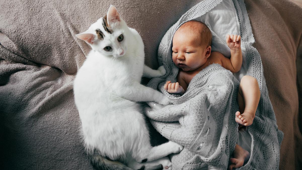 nou-nascut-si-animal-de-companie-cum-sa-faci-fata-provocarilor_08432600