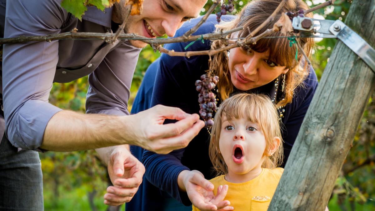 semnele-care-arata-ca-ai-primit-o-educatie-buna-de-la-parintii-tai-abilitatile-care-te-fac-sa-fii-pregatit-pentru-succesul-pe-termen-lung_73327500