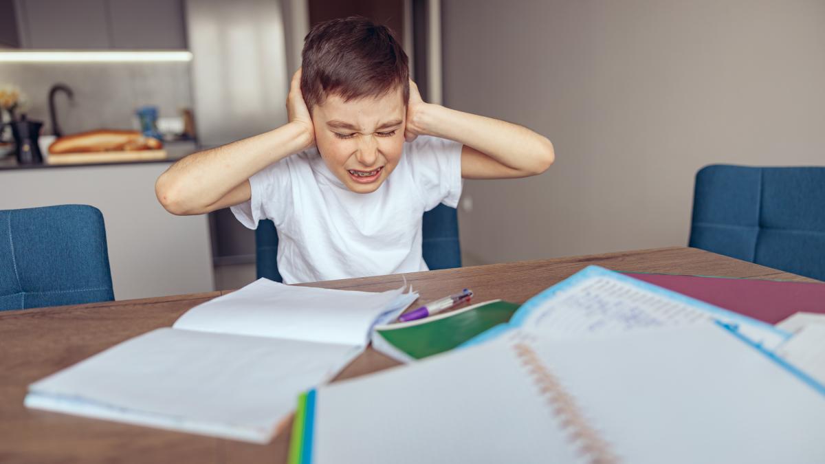 meditatiile-sufoca-elevii-romani-amploarea-acestui-fenomen-coplesitoare-avertizeaza-ana-maria-zamfir-pierderea-cea-mai-mare-este-asta_57039300