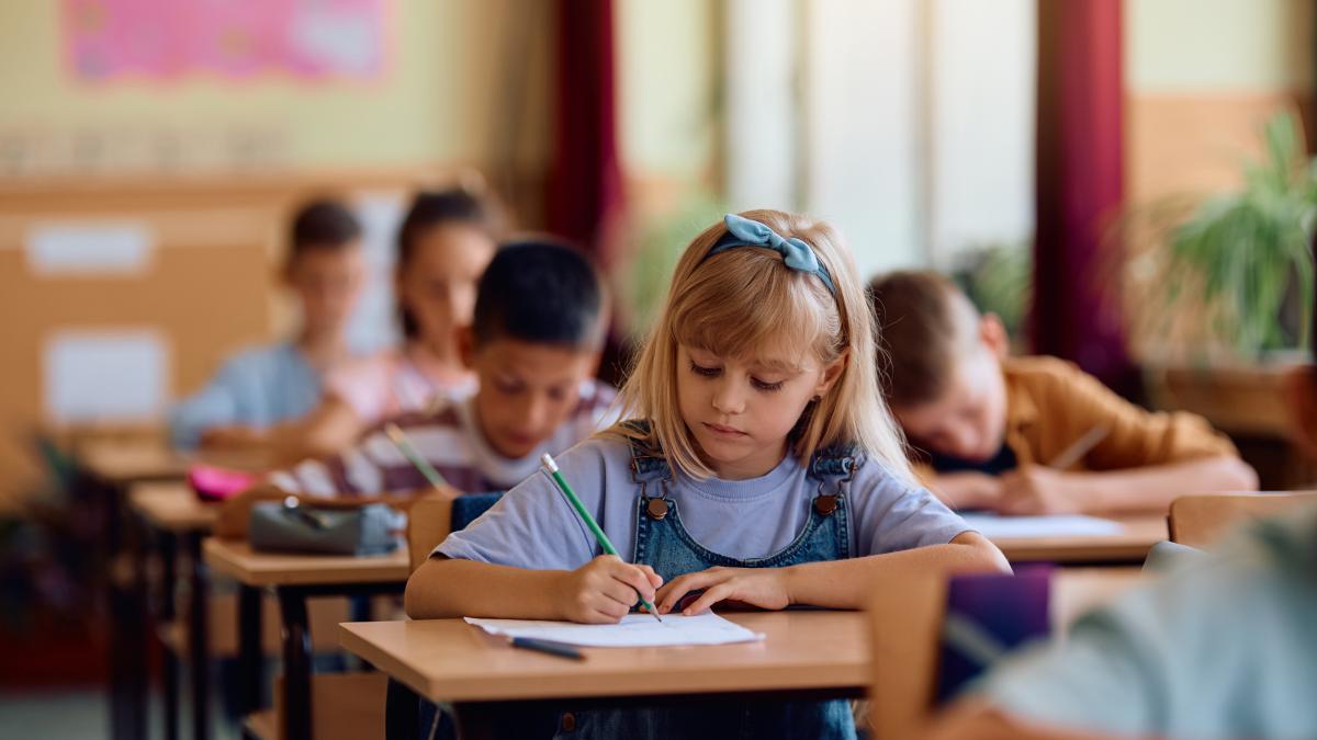 cheltuielile-romaniei-pentru-educatie--printre-cele-mai-mici-din-lume--tara-noastra-se-afla-la-acelasi-nivel-cu-tanzania--si-dupa-state-precum-zambia-sau-paraguay_17626400