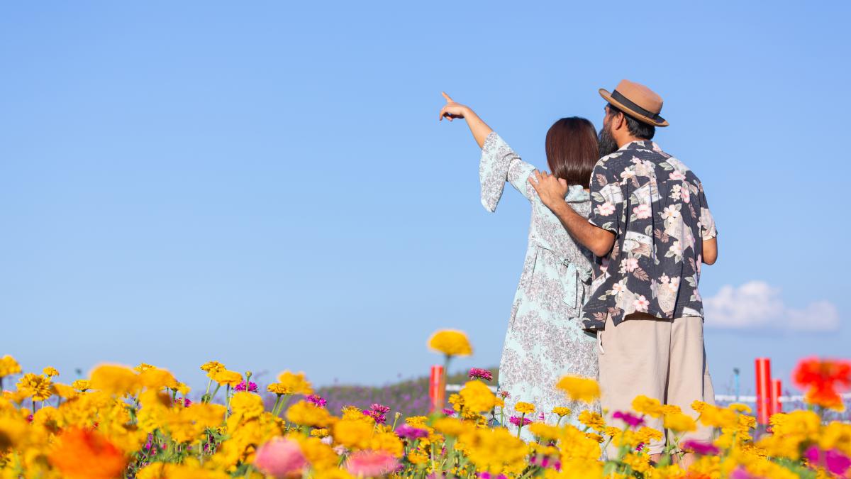 5-principii-stoice-dupa-care-sa-traiesti-pentru-a-avea-o-viata-mai-fericita_71930400