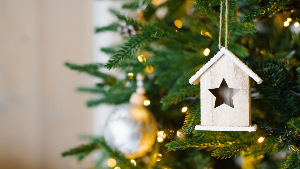 cand-se-despodobeste-bradul-traditii-si-superstitii_41495200