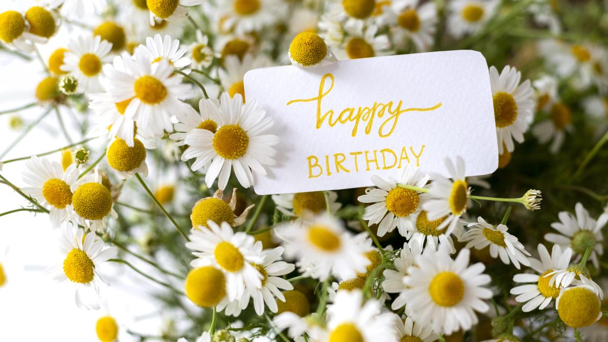 cati-romani-isi-sarbatoresc-ziua-numelui-de-sfantul-ion_15862500