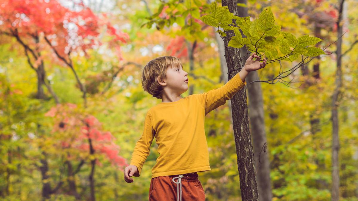 ce-parte-din-comportamentul-copilului-este-mostenita-si-ce-este-invatata-crcetatori-este-una-dintre-cele-mai-vechi-controverse-in-stiinta_88588700