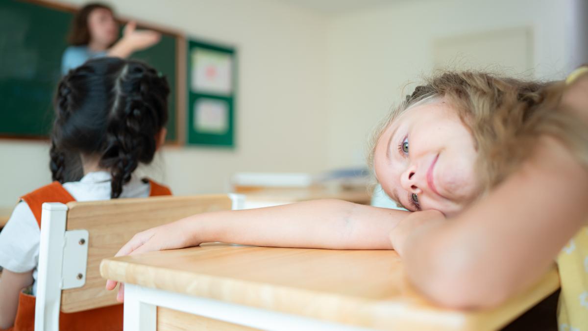 cum-se-formeaza-atentia-copilului-in-clasa-cum-apare-harnicia-scolara-oana-moraru-un-profesor-bun-o-poate-forma-daca-vine-la-el-cu-multe-carlige-nu-doar-cu-materie_02685900