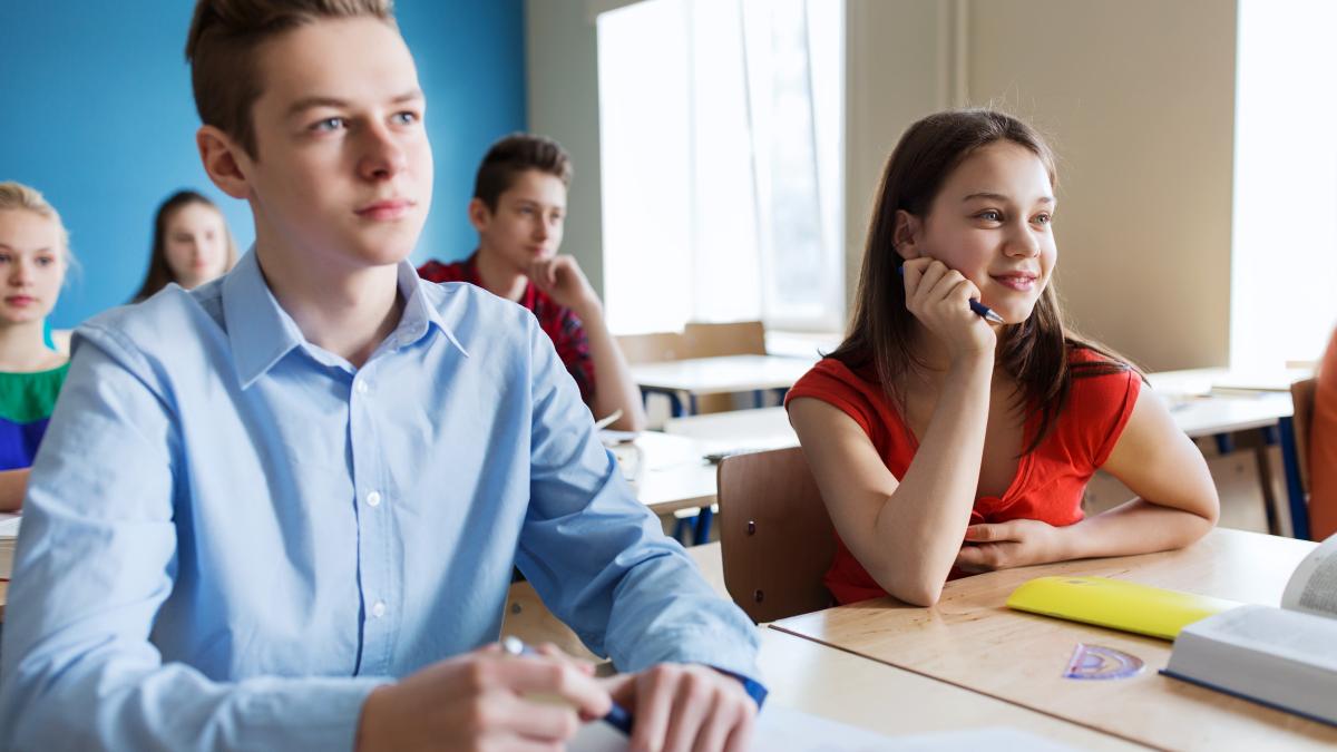 schimbarile-propuse-de-ministerul-educatiei-in-planurile-cadru-mai-multe-optionale--elemente-de-antreprenoriat-si-stil-de-viata-sanatos_01596300