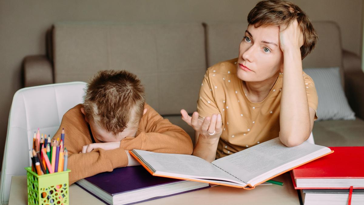 teodora-metiu-parintii-se-chinuie-sa-l-invete-pe-copil-munca--asta-nu-duce-neaparat-spre-stare-buna--duce-maximum-spre-bunastare-e-o-mare-diferenta_30365000