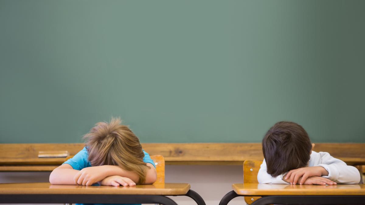 ministrul-daniel-david-sa-nu-ne-transformam-copiii-in-hamali-care-sa-poarte-cursuri-peste-cursuri-ore-peste-ore-discipline-peste-discipline_90109100