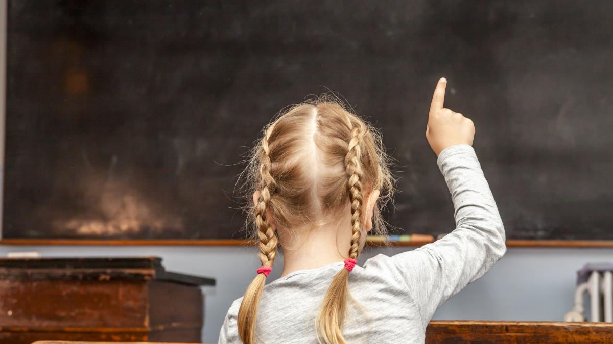 descoperirea-care-demonteaza-un-mit-vechi-despre-educatie-cercetatori-copilaria-epoca-de-aur-a-invatarii-elevii-din-primar-invata-mai-repede-decat-adultii_37145600