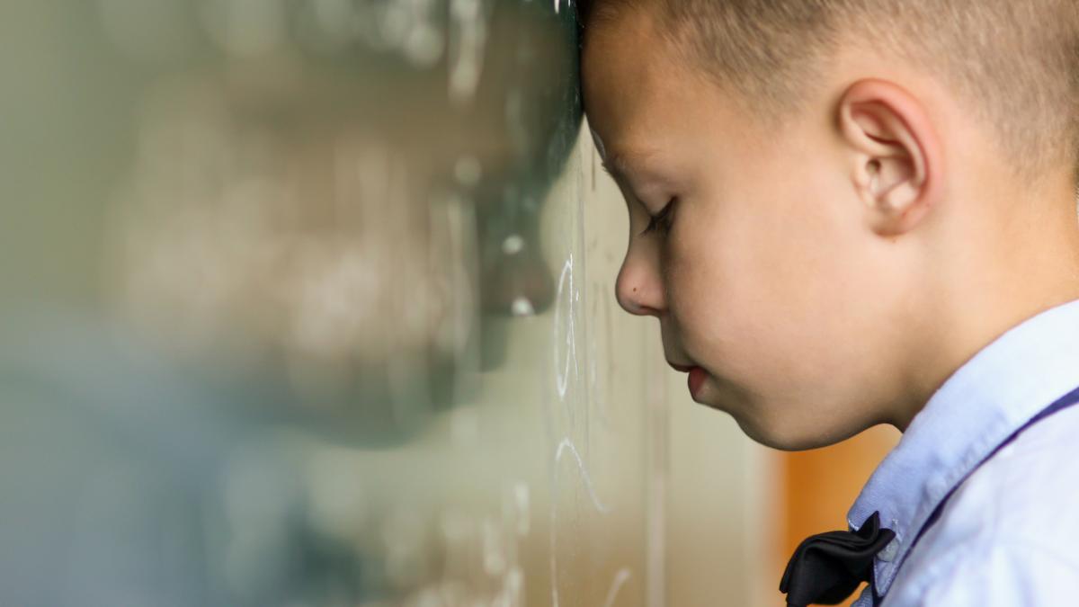 oana-moraru-in-scoala-romaneasca-exista-trei-mari-socuri-acolo-programele-s-au-rupt-le-trantim-copiilor-in-cap-o-multime-de-informatii-si-avem-pretentii_68873400