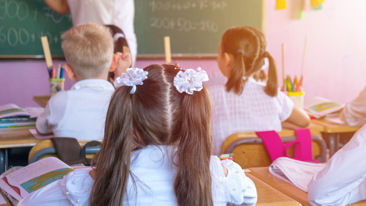 ma-ingrijoreaza-noua-generatie-ministrul-daniel-david-despre-atitudinea-copiilor-si-a-parintilor-fata-de-scoala-nu-trebuie-sa-stresam-elevii-dar-nici-sa-le-promitem-ca-totul-va-fi-usor_80465300