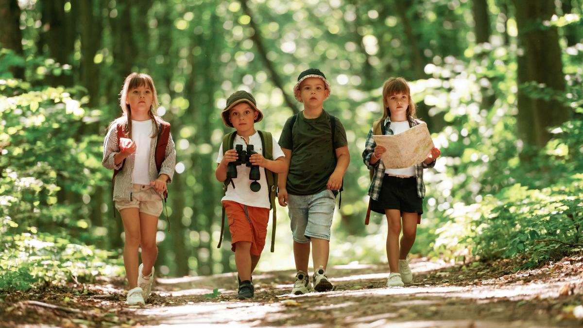 conception-hiking-kids-forest-summer-daytime-together_35597200