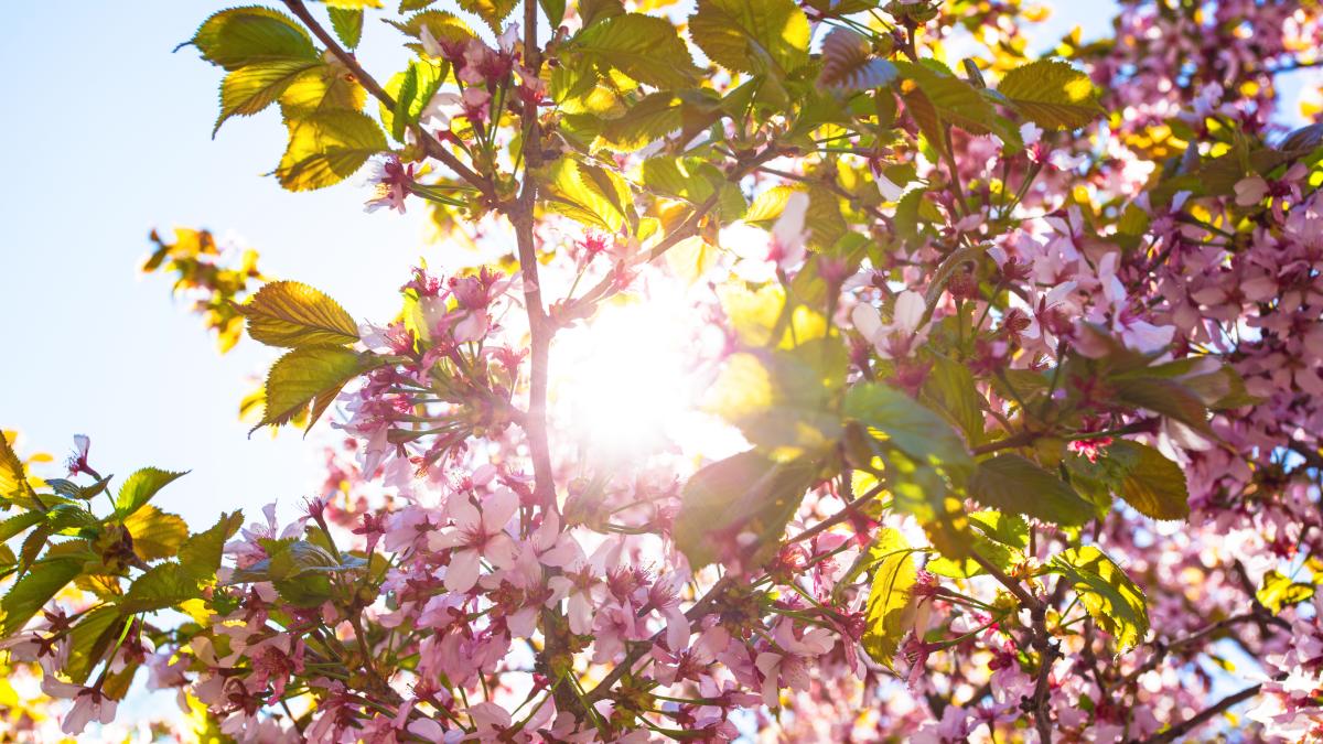 cum-va-fi-vremea-de-pasti_90730900