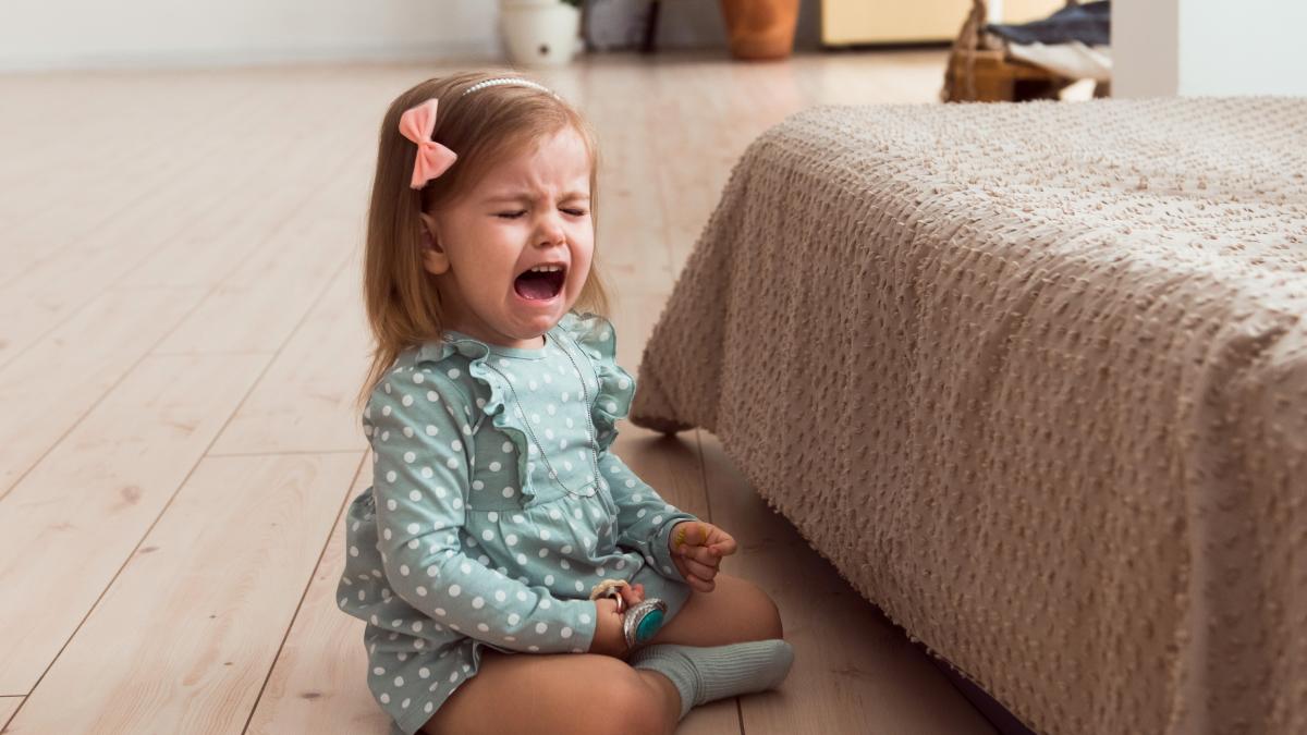 de-ce-copiilor-de-3-ani-nu-le-place-sa-fie-grabiti-sau-sa-li-se-spuna-ce-sa-faca-potrivit-unui-celebru-neuropsiholog-nu-e-vorba-de-un-act-de-rebeliune_19847800