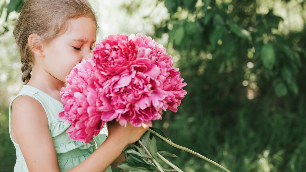 bujorii-sau-regii-gradiniitot-ce-trebuie-sa-stii-despre-aceasta-floare-nobila_54042300