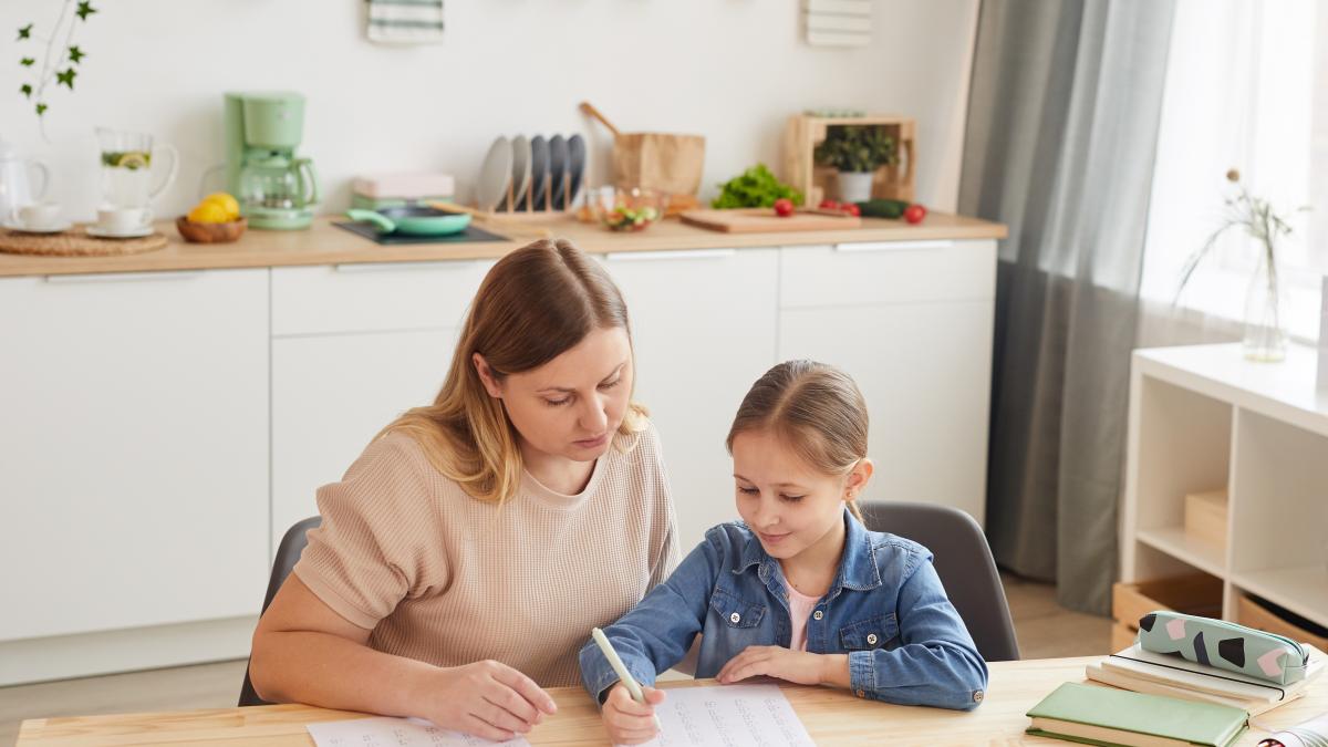 ministrul-educatiei-propune-reglementarea-home-schooling-ului-nu-trebuie-sa-se-ascunda-si-dupa-aceea-se-trezesc-in-fata-legii-ca-au-probleme-conditii-pentru-aprobarea-educatiei-acasa_21257900